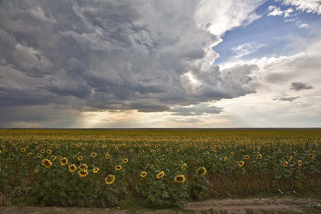 August 24th and 25th, 2008 DCVZ Storms and Landspout