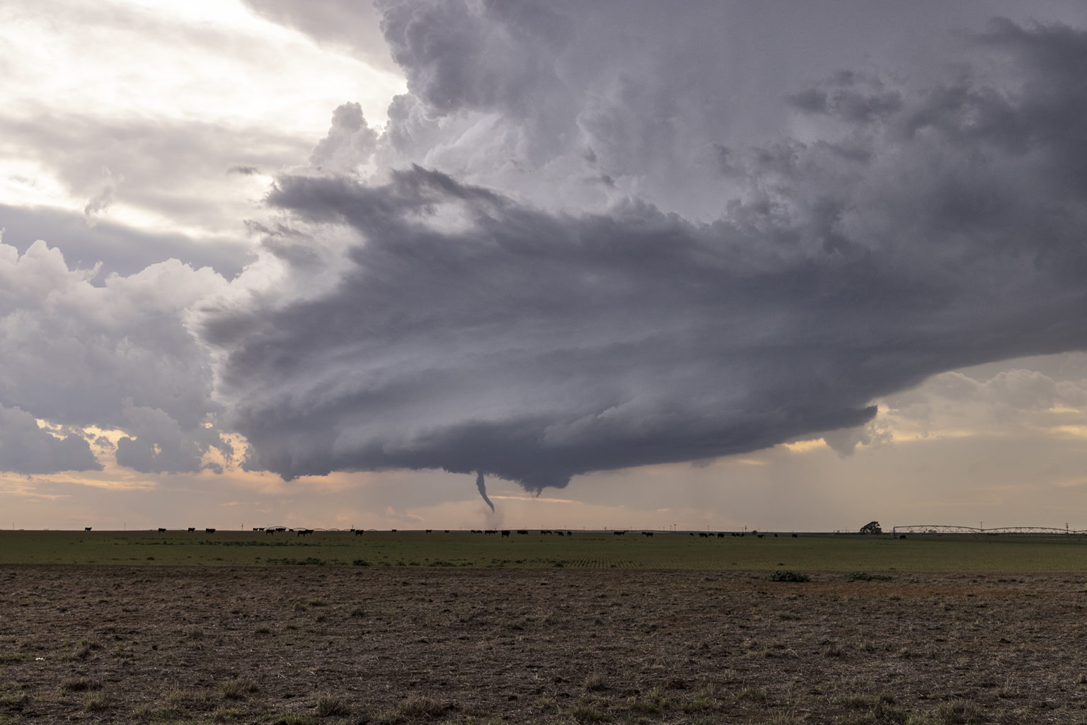 May 16th Sudan, Texas Tornadic Supercell
